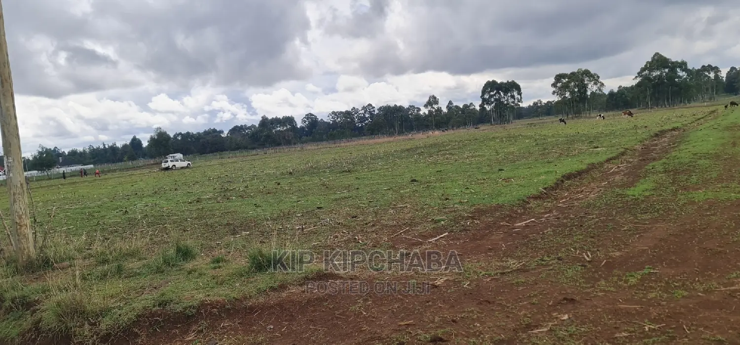 Prime Plot for Sale in Illula Eldoret in Illula