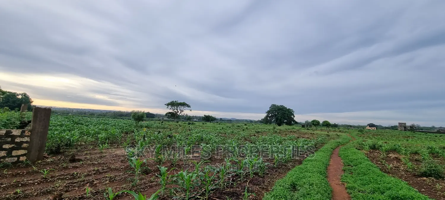 Vipingo Utalii Campus: 5-Acre Land Available for Purchase in Vipingo