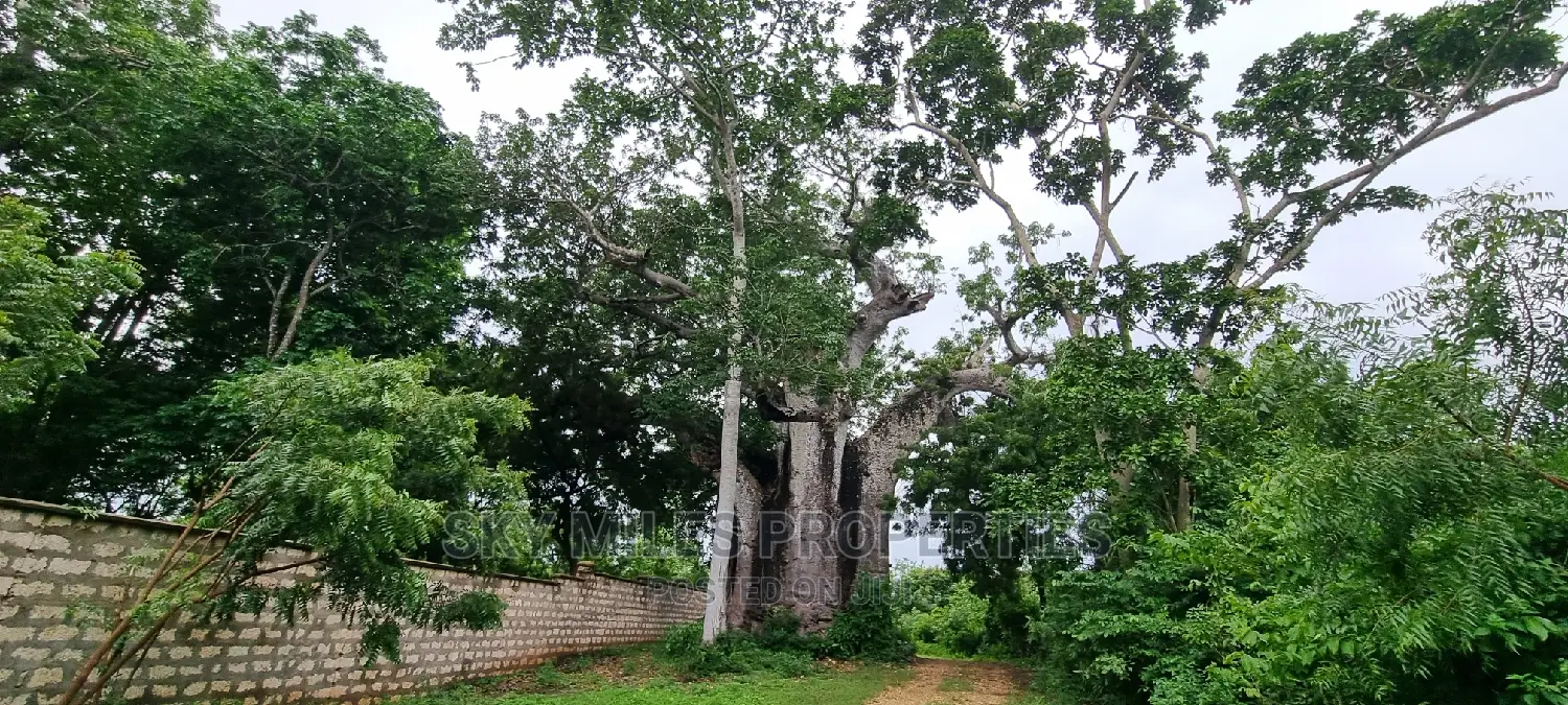 Exclusive 10-Acre Property for Sale in Kuruwitu, Vipingo in Vipingo