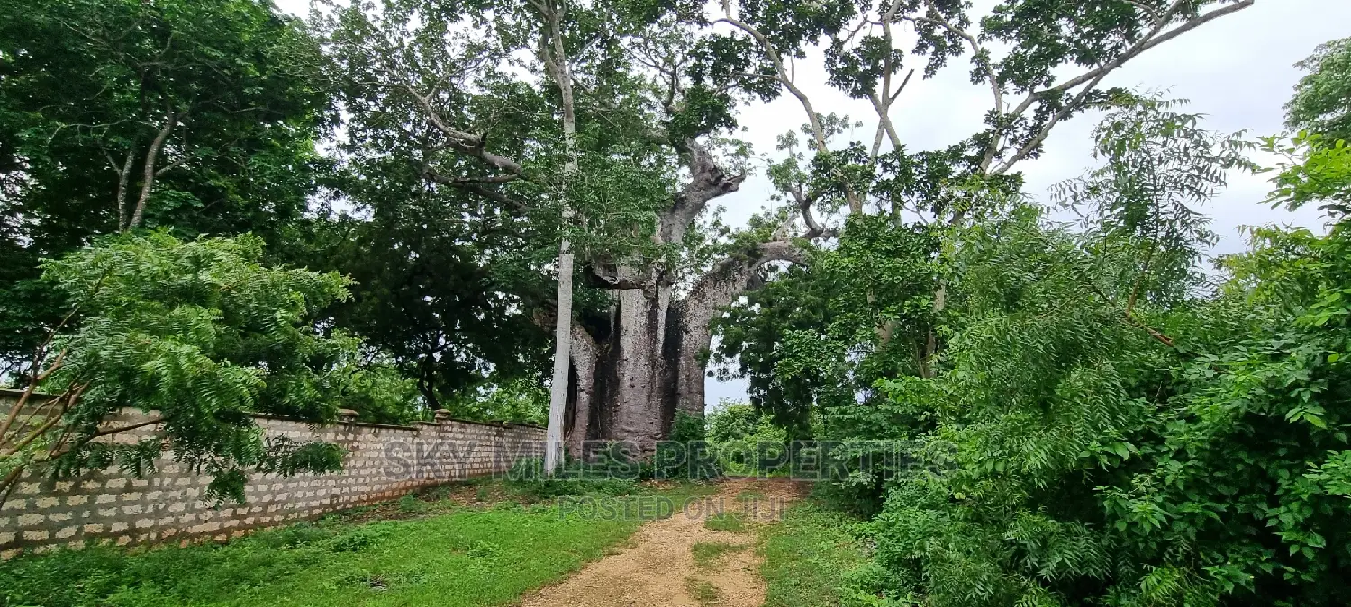 Exclusive 10-Acre Property for Sale in Kuruwitu, Vipingo in Vipingo