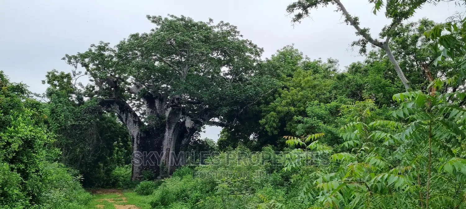 Exclusive 10-Acre Property for Sale in Kuruwitu, Vipingo in Vipingo