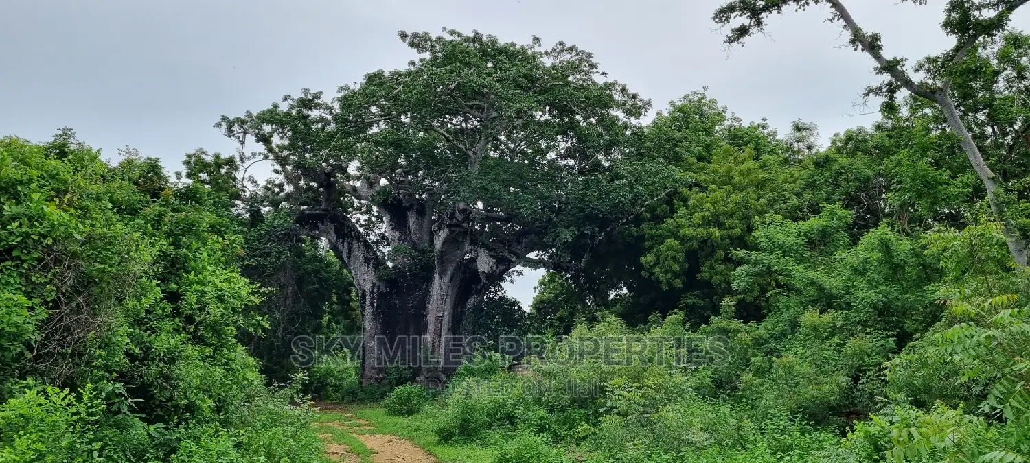 Exclusive 10-Acre Property for Sale in Kuruwitu, Vipingo in Vipingo
