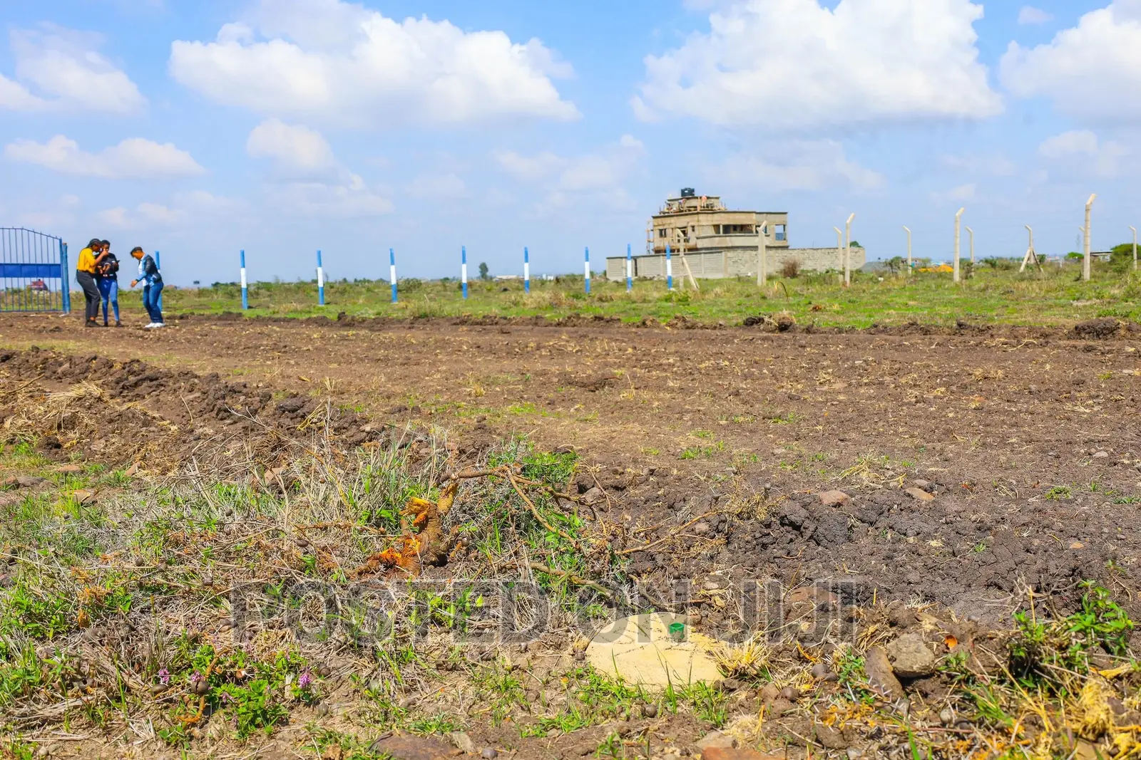 Investor's Paradise. Low Cost, High Value Kamakis. ^KK in Kamakis