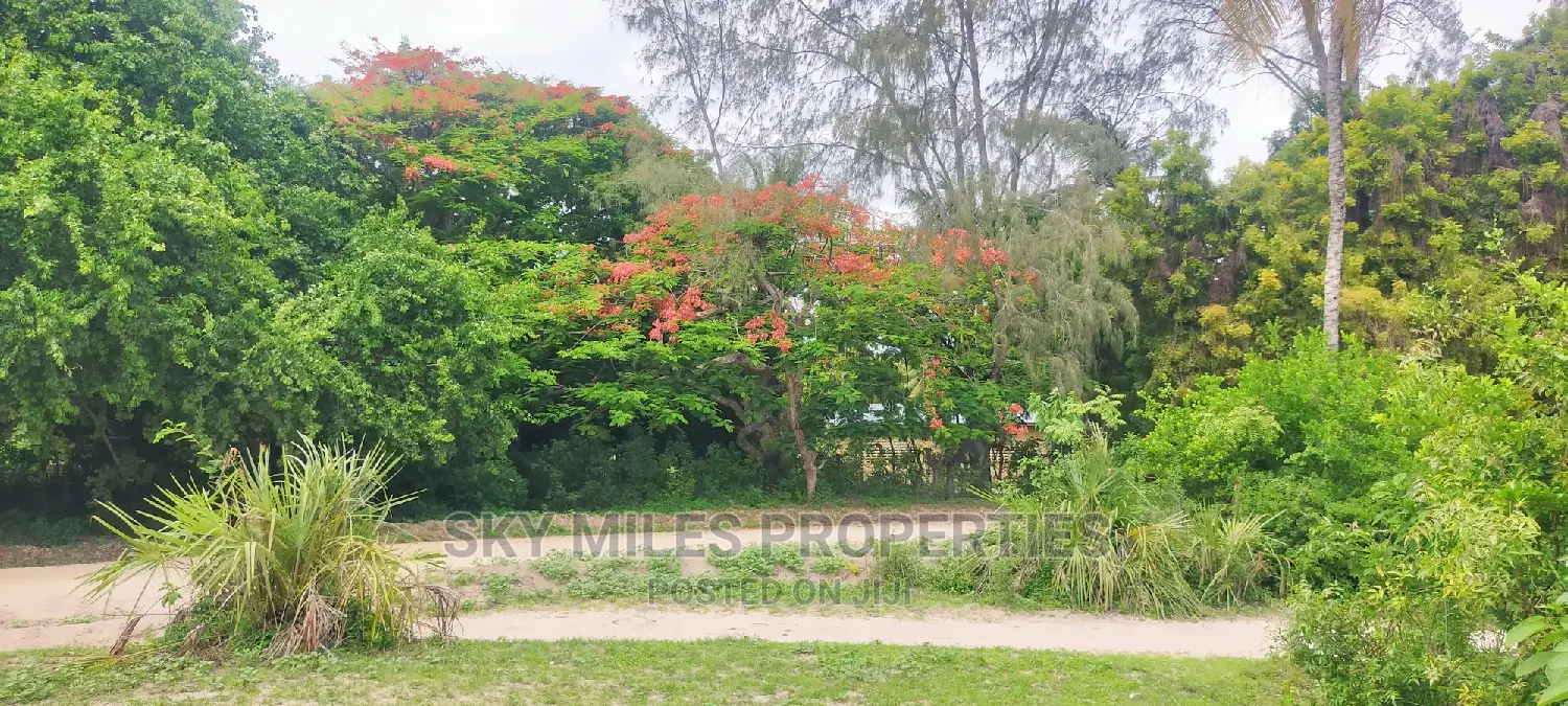 Second row from the beach, 10-acre property - Dream coastal estate for sale in Majengo