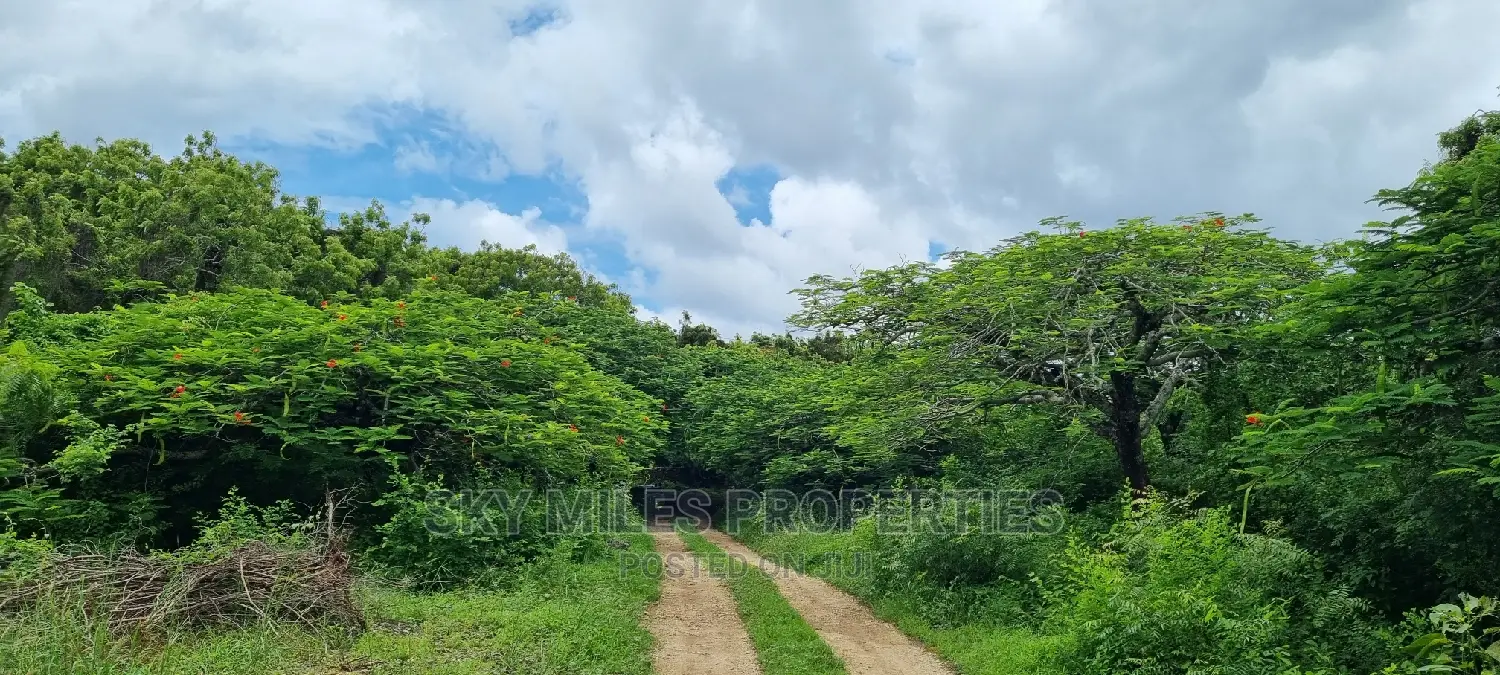 Kuruwitu Land Sale: Premium Property in Vipingo in Vipingo