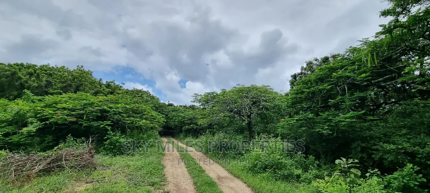 Kuruwitu Land Sale: Premium Property in Vipingo in Vipingo