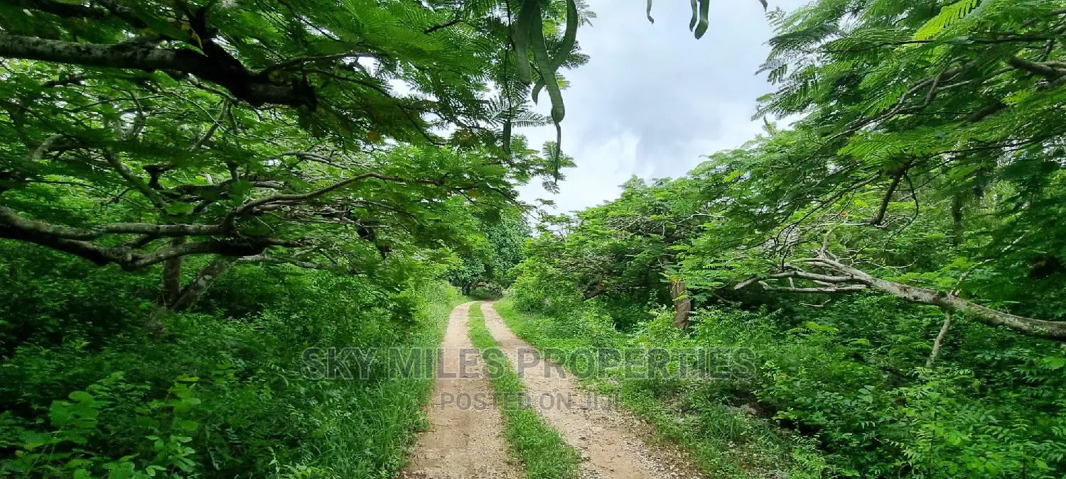 Kuruwitu Land Sale: Premium Property in Vipingo in Vipingo