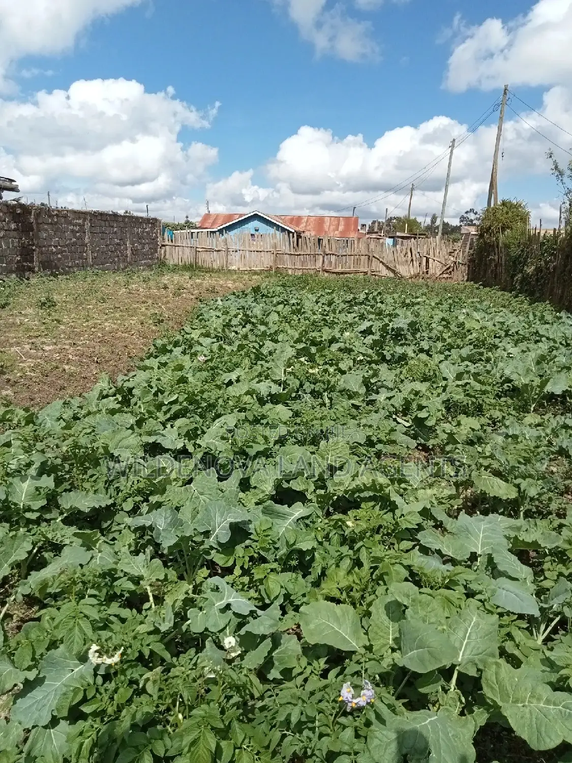 House and Plot Combination for Sale in Magumu Kinangop in Magumu