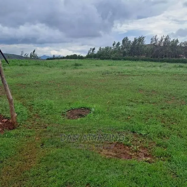 3 Acres of Land in Ngong Kibiko for Sale Now in Ngong
