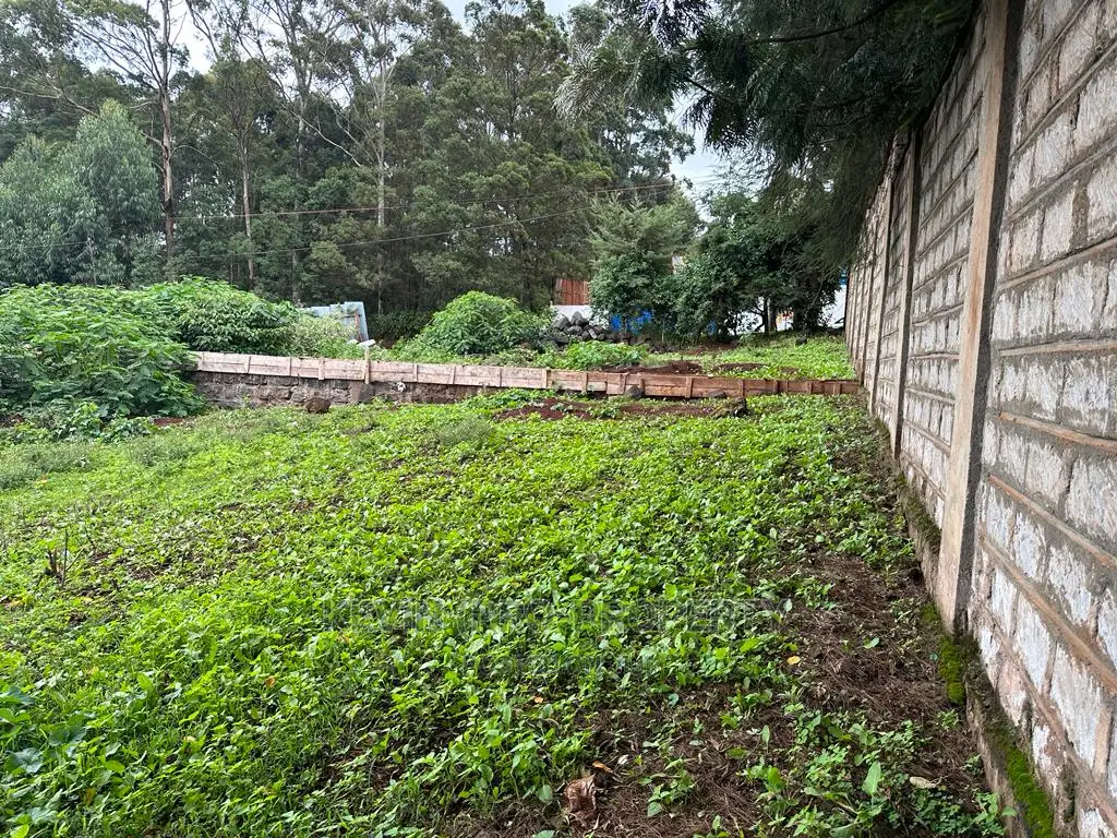 Kikuyu Front-Road Commercial Plot: Prime Real Estate Opportunity in Karai