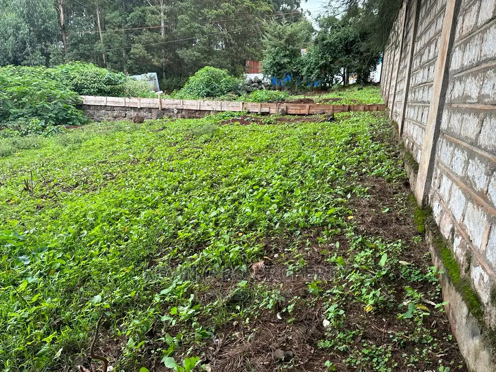 Kikuyu Front-Road Commercial Plot: Prime Real Estate Opportunity in Karai