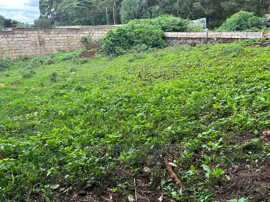 Kikuyu Front-Road Commercial Plot: Prime Real Estate Opportunity in Karai