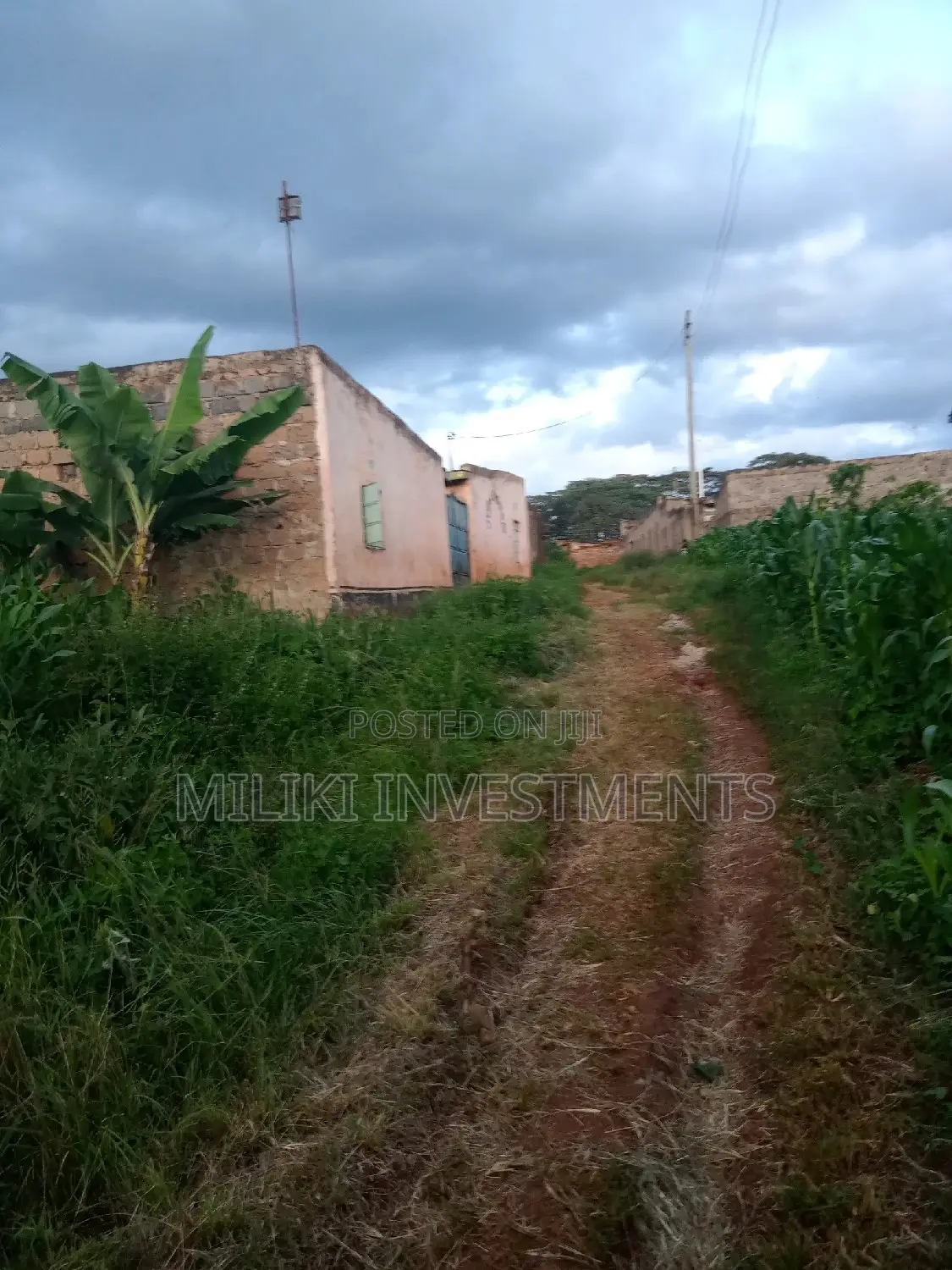 Spacious 50x100 Plot in Kamahuha - Perfect for Your Dream Home in Makuyu