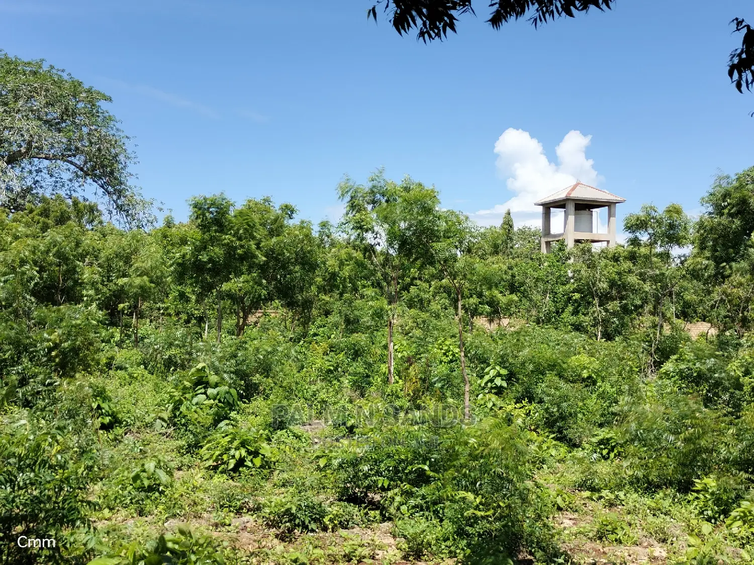 Diani Half Acre Land: Premium Property at an Affordable Price in Ukunda