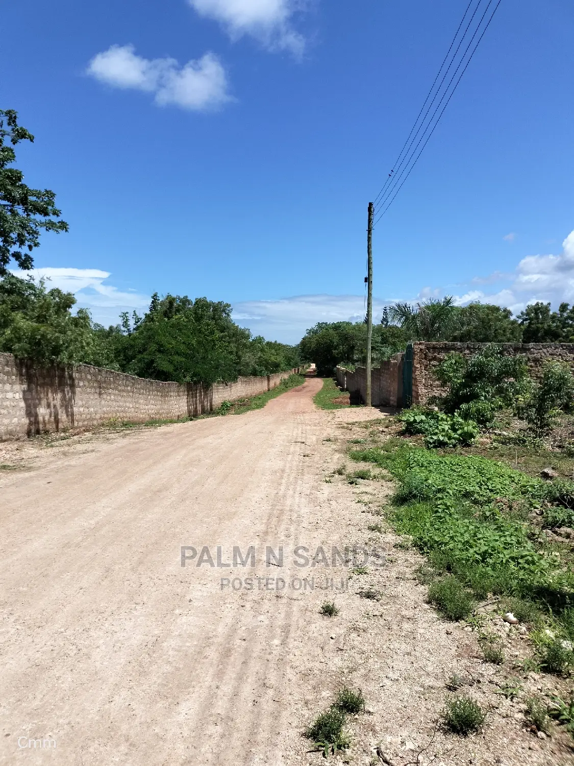 Diani Half Acre Land: Premium Property at an Affordable Price in Ukunda