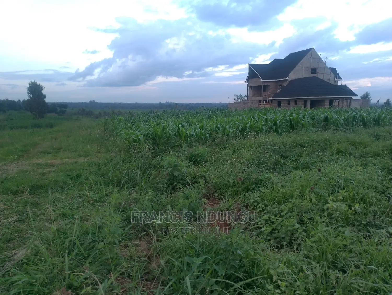 Residential Plots in Matrofi Estate: Tinganga Migaa - For Sale Today in Tinganga