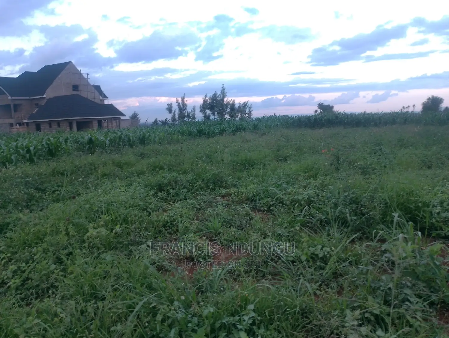 Residential Plots in Matrofi Estate: Tinganga Migaa - For Sale Today in Tinganga