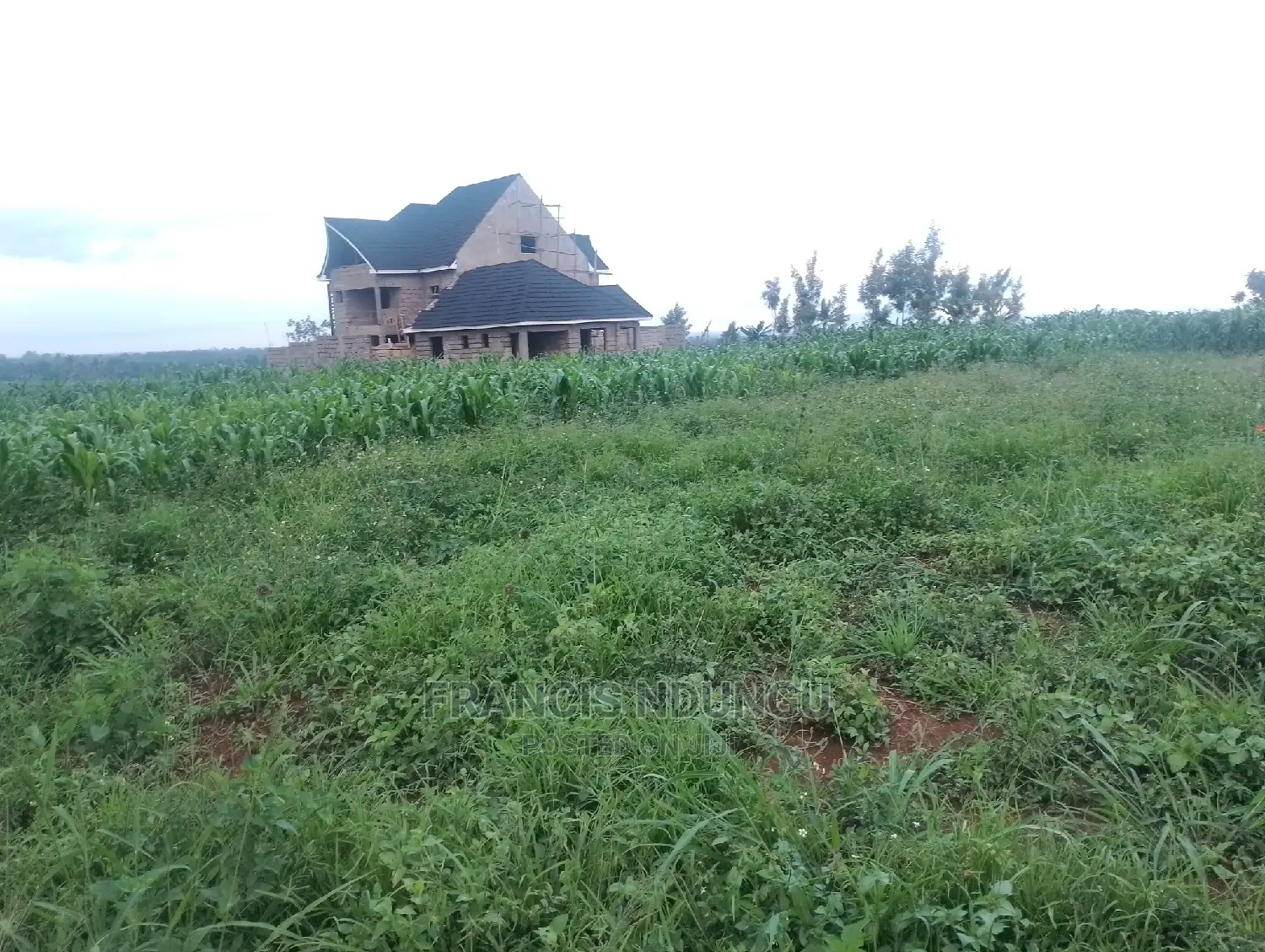 Residential Plots in Matrofi Estate: Tinganga Migaa - For Sale Today in Tinganga