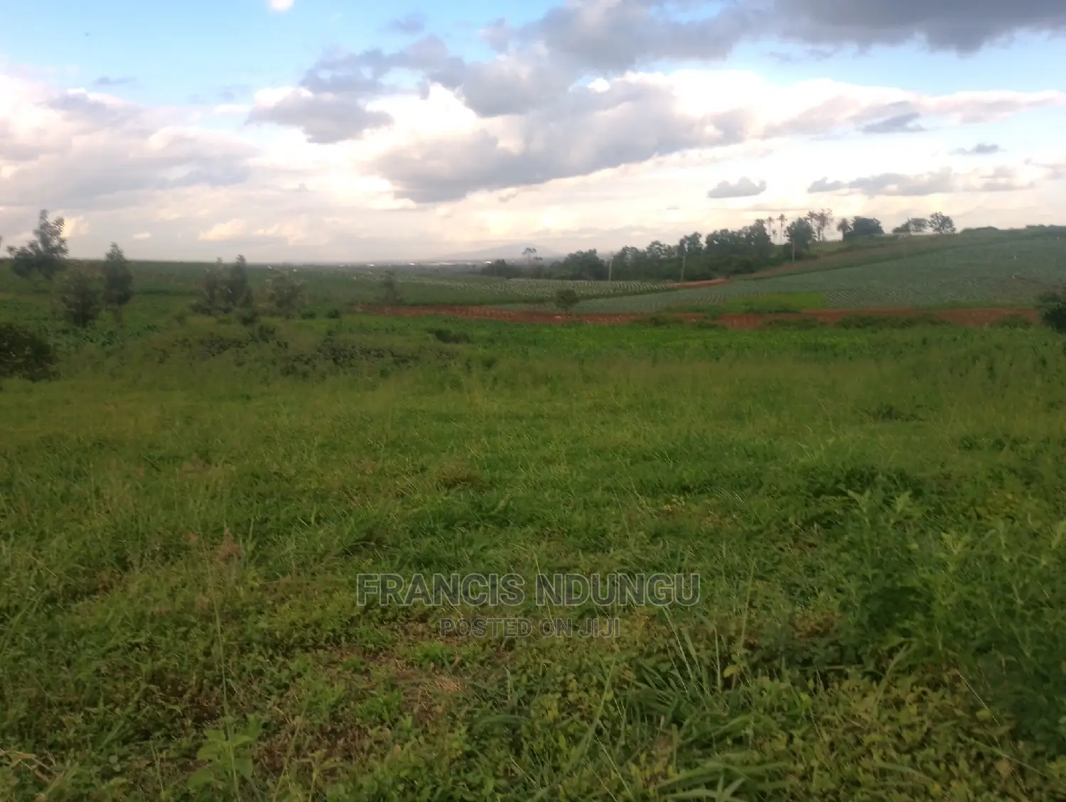 Matrofi Estate Plots: Kirigiti Lioki Rd. - Seize the Opportunity Today! in Tinganga