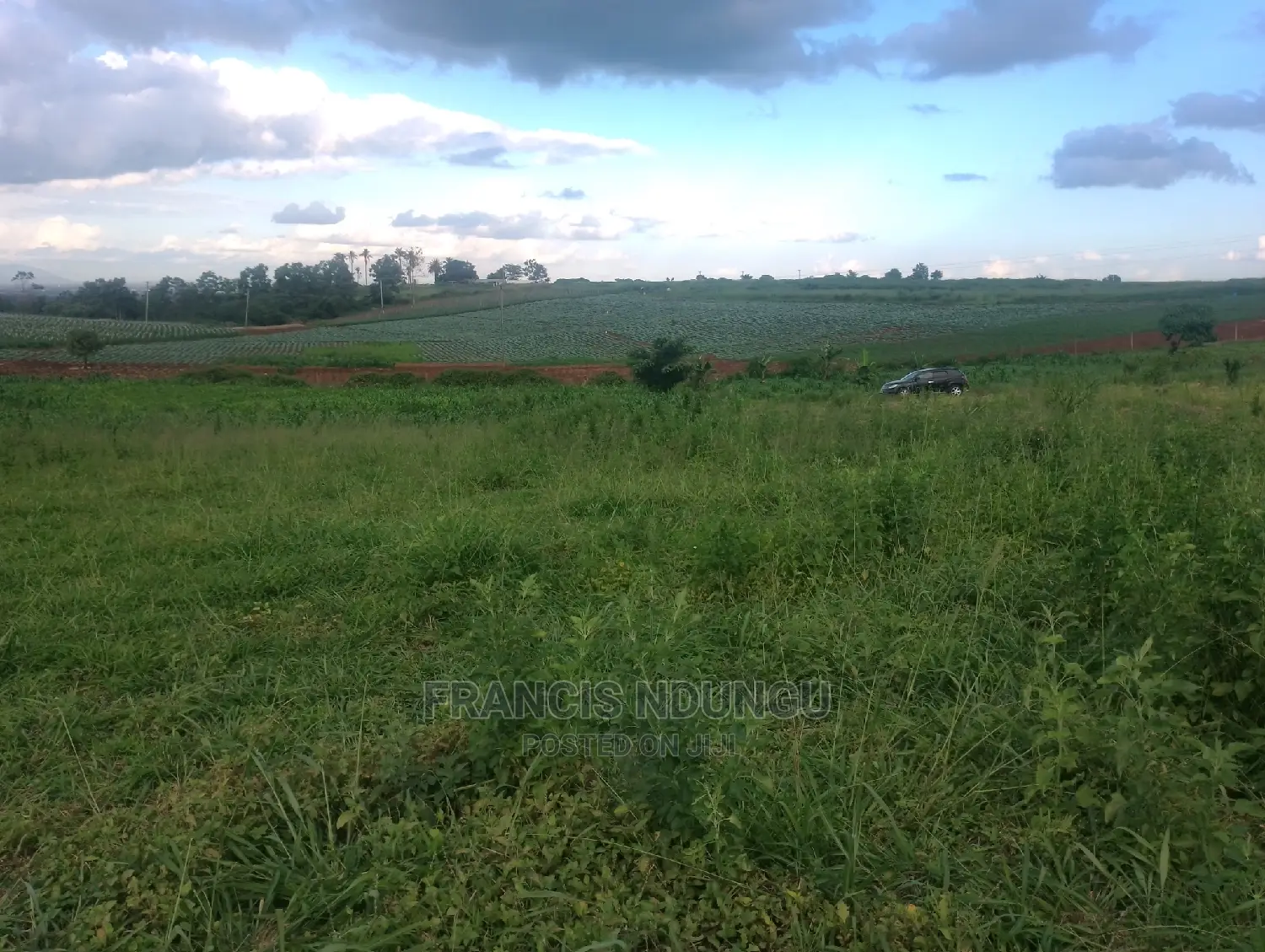Matrofi Estate Plots: Kirigiti Lioki Rd. - Seize the Opportunity Today! in Tinganga
