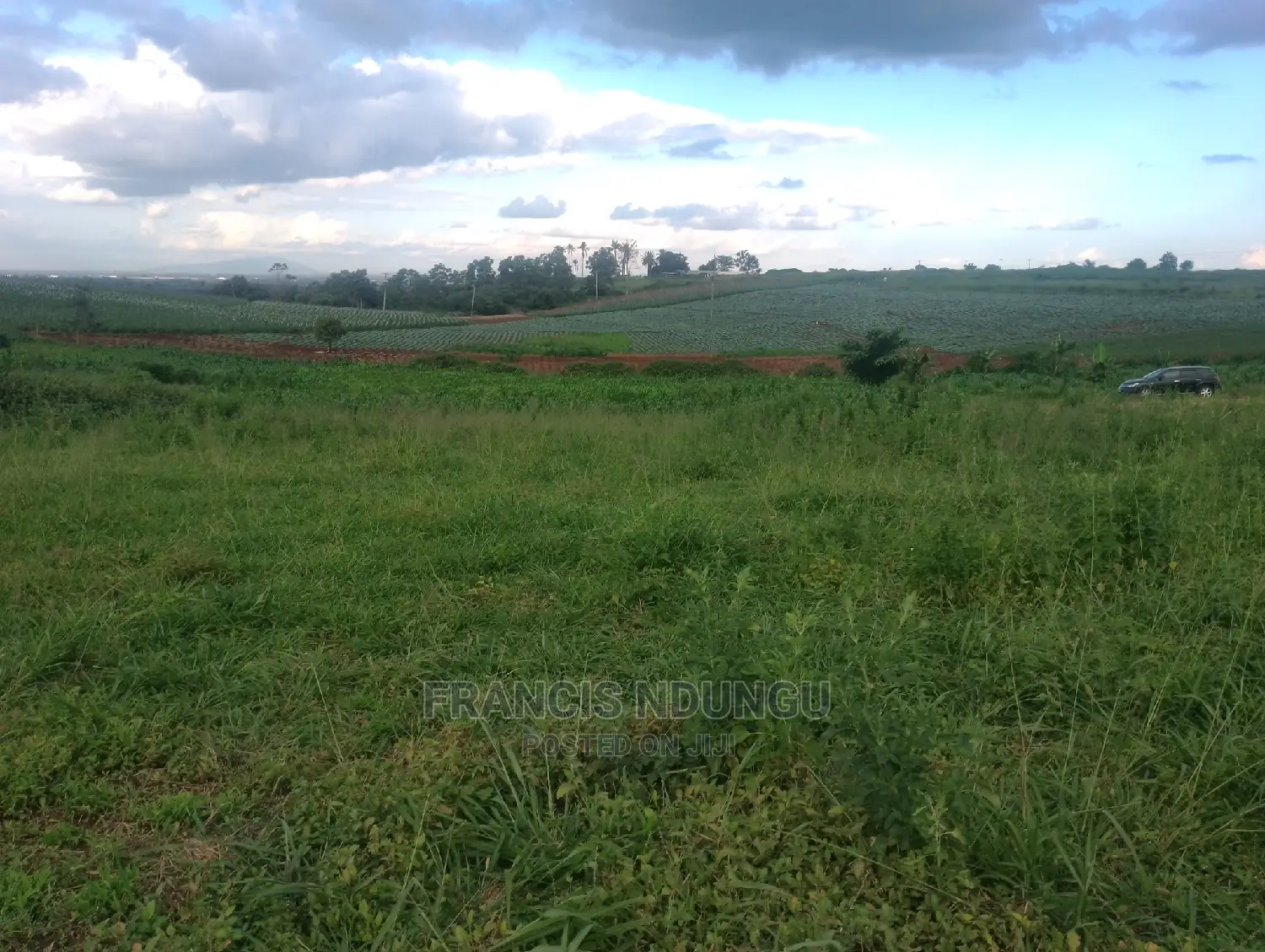 Matrofi Estate Plots: Kirigiti Lioki Rd. - Seize the Opportunity Today! in Tinganga