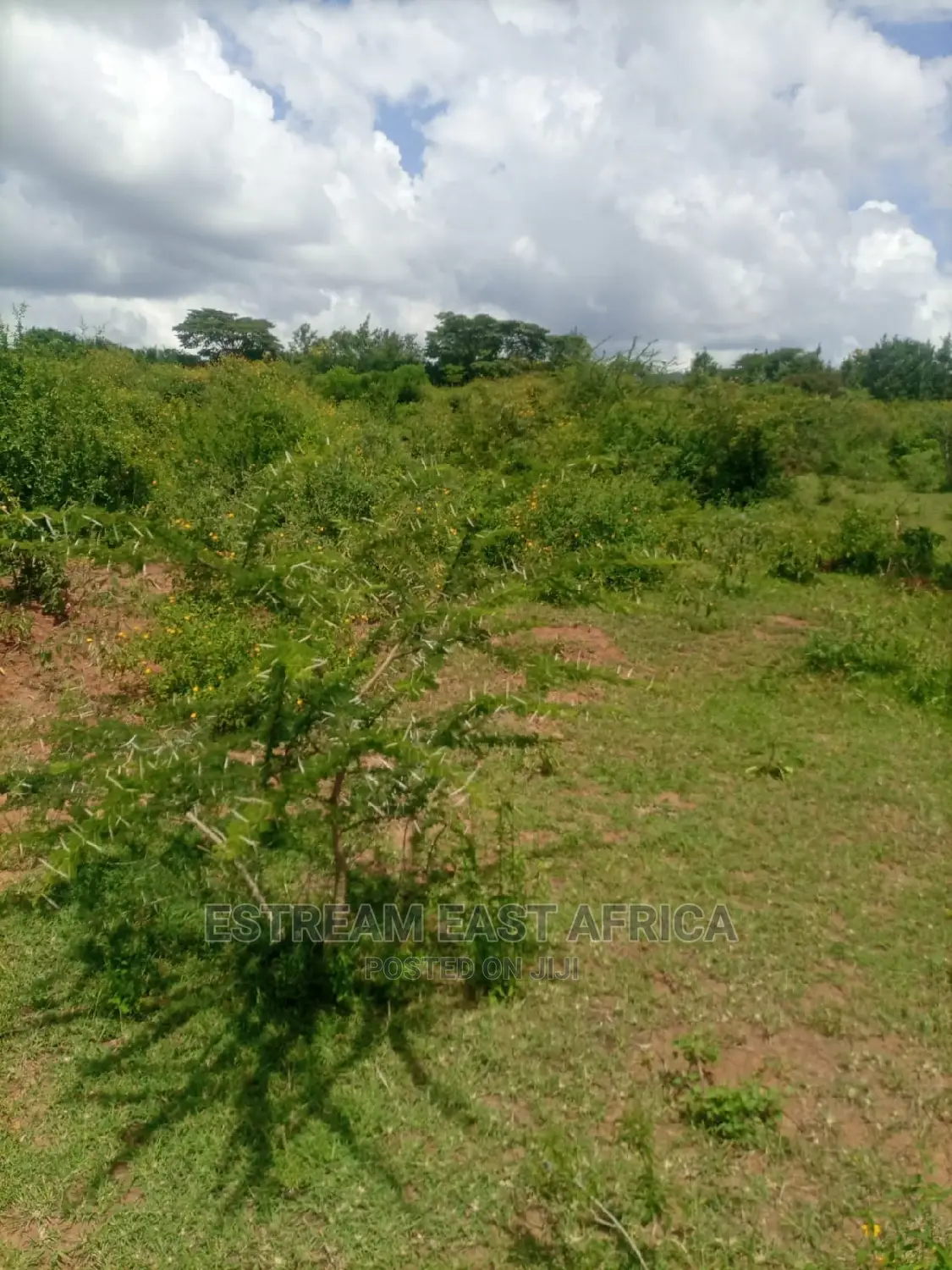 Kangundo, Machakos County: 10 Acres of Land for Sale in Mbiuni
