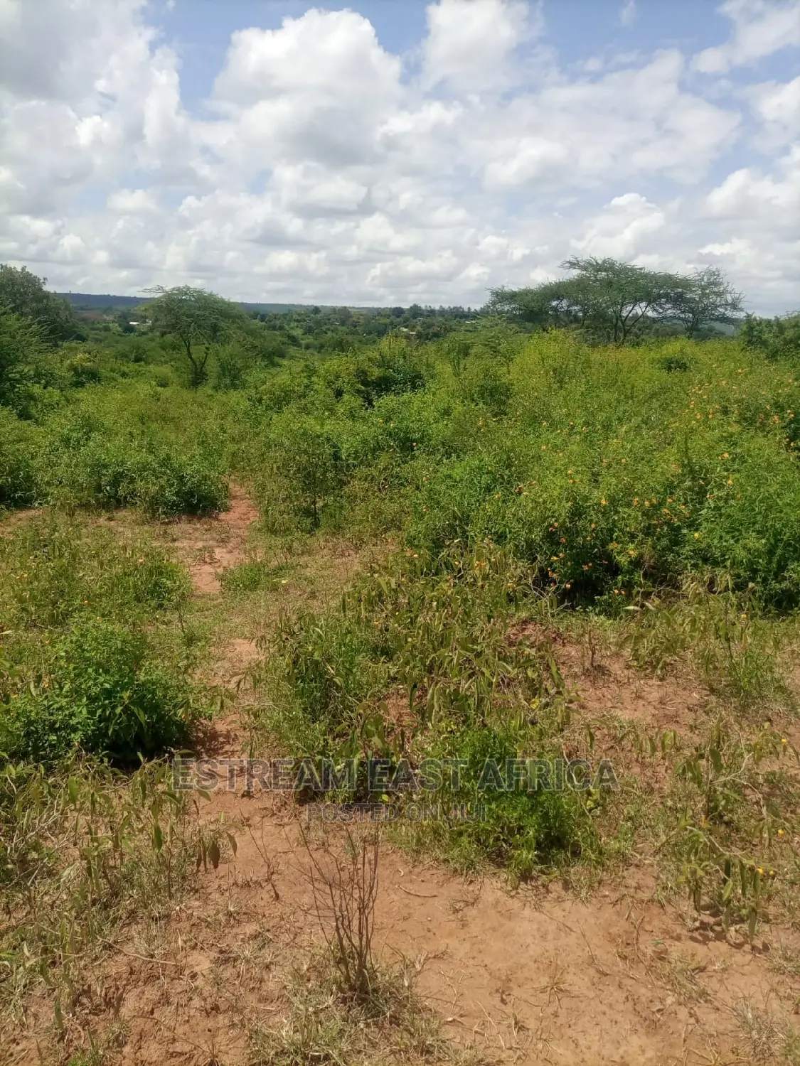 Kangundo, Machakos County: 10 Acres of Land for Sale in Mbiuni