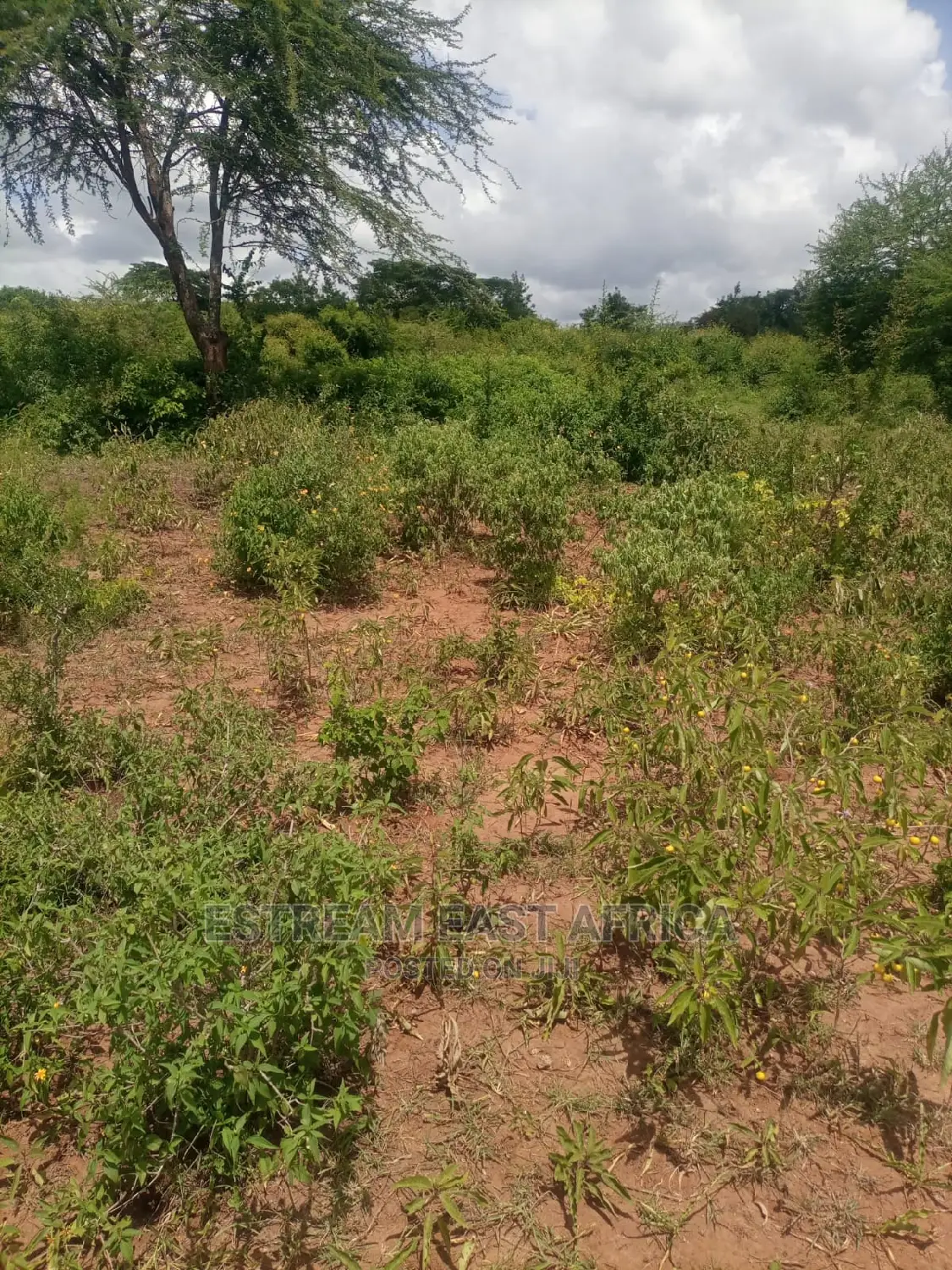 Kangundo, Machakos County: 10 Acres of Land for Sale in Mbiuni