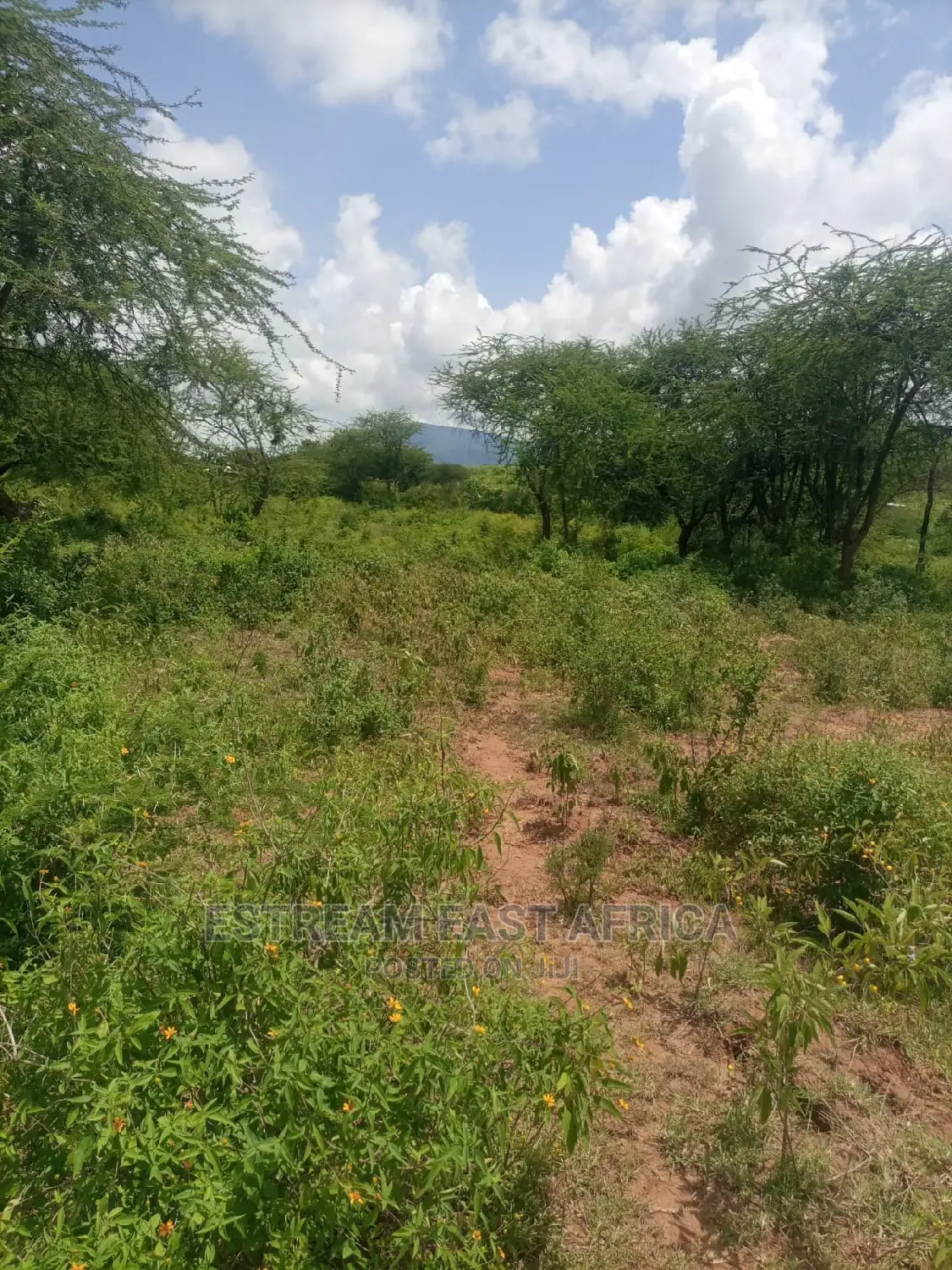 Kangundo, Machakos County: 10 Acres of Land for Sale in Mbiuni