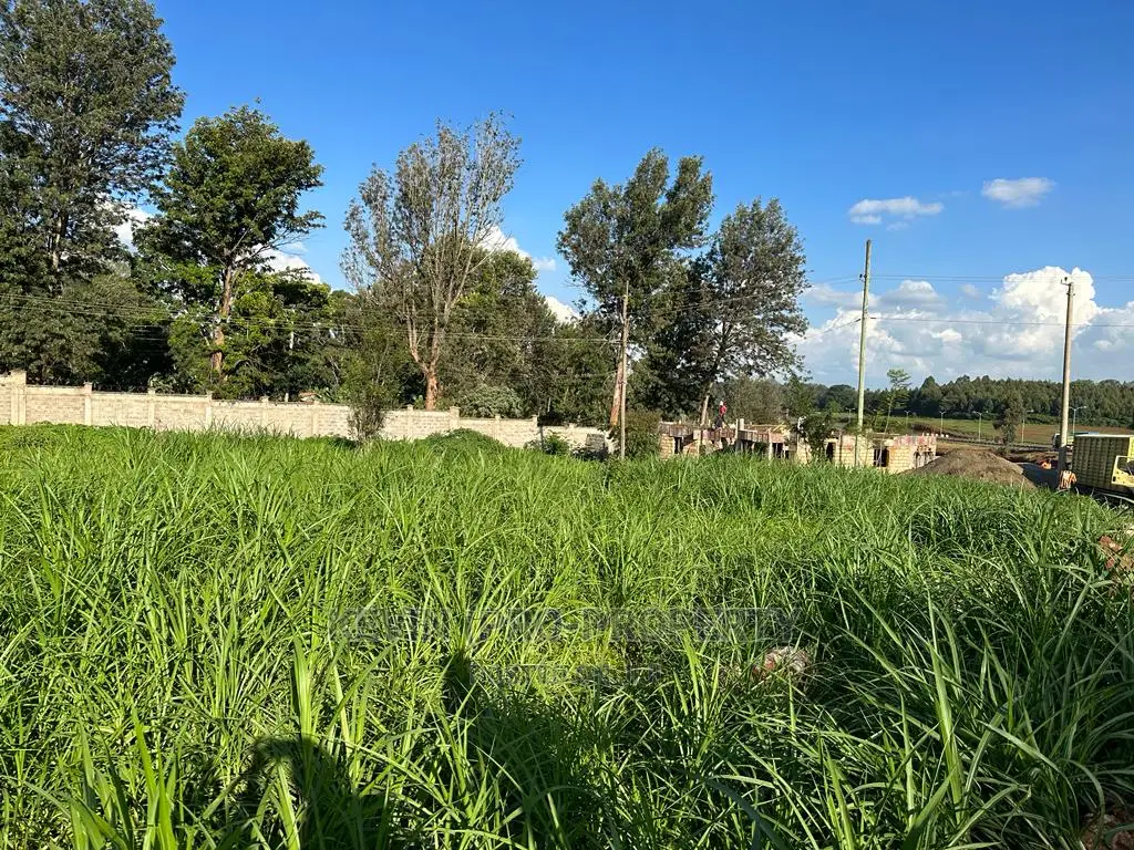 Thogoto: Prime One-Acre Land Touching Southern Bypass Tarmac in Thogoto