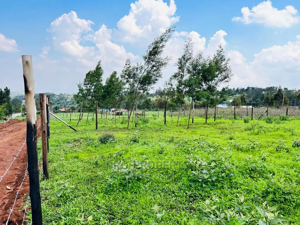 Kikuyu, Kamangu: Prime 1/8 Acre Residential Plots for Sale - Invest in Your Future Home! in Karai