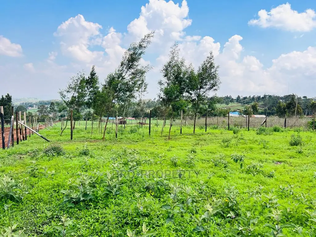 Kikuyu, Kamangu: Prime 1/8 Acre Residential Plots for Sale - Invest in Your Future Home! in Karai