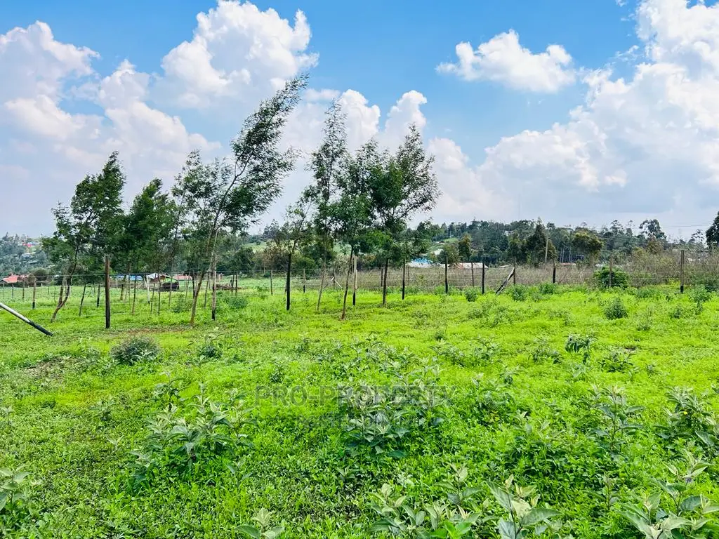 Kikuyu, Kamangu: Prime 1/8 Acre Residential Plots for Sale - Invest in Your Future Home! in Karai