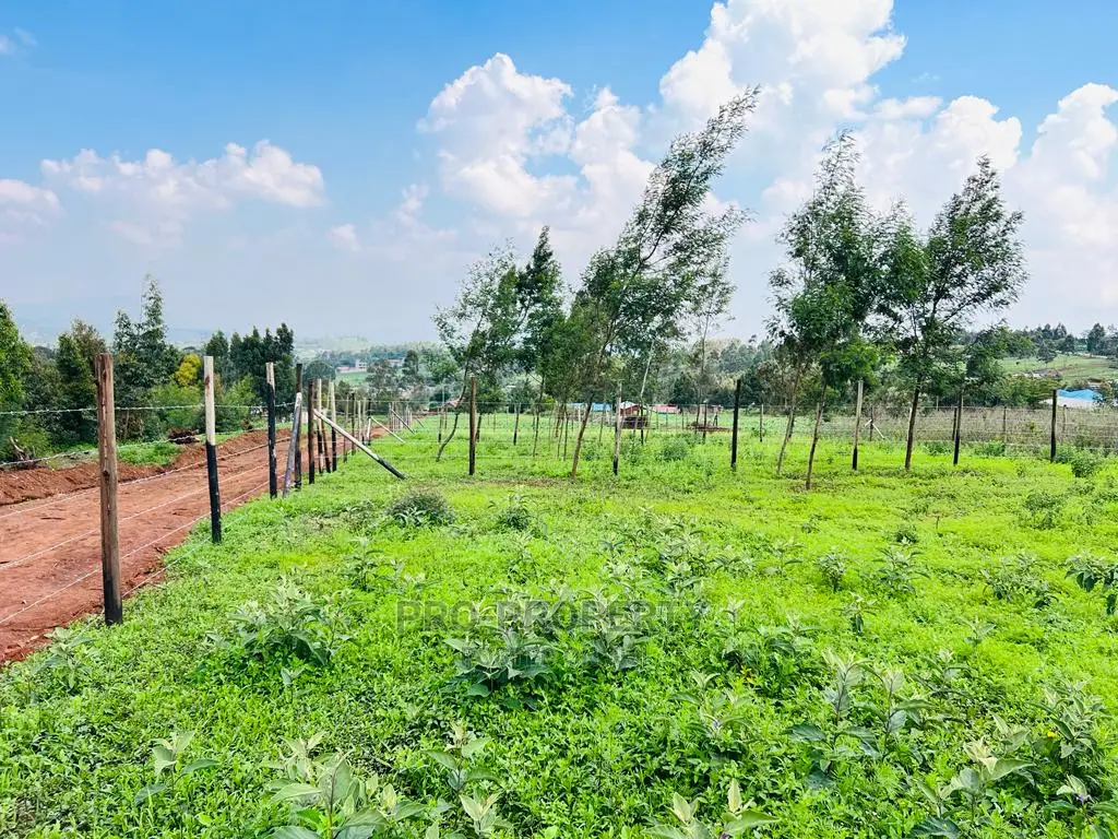 Kikuyu, Kamangu: Prime 1/8 Acre Residential Plots for Sale - Invest in Your Future Home! in Karai