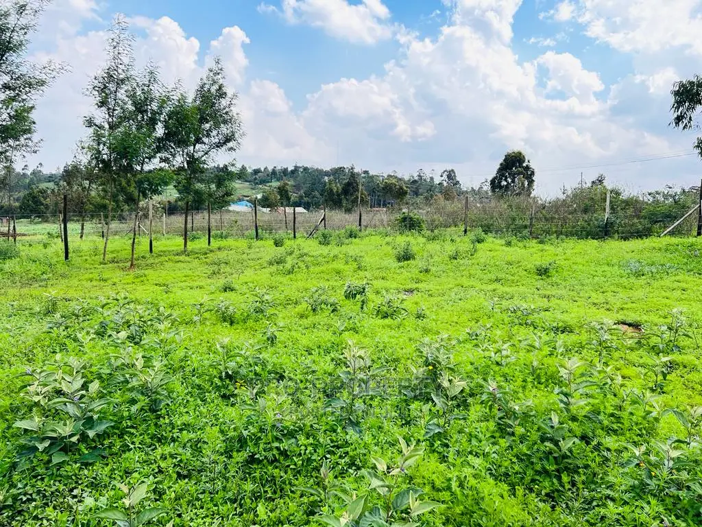 Kikuyu, Kamangu: Prime 1/8 Acre Residential Plots for Sale - Invest in Your Future Home! in Karai
