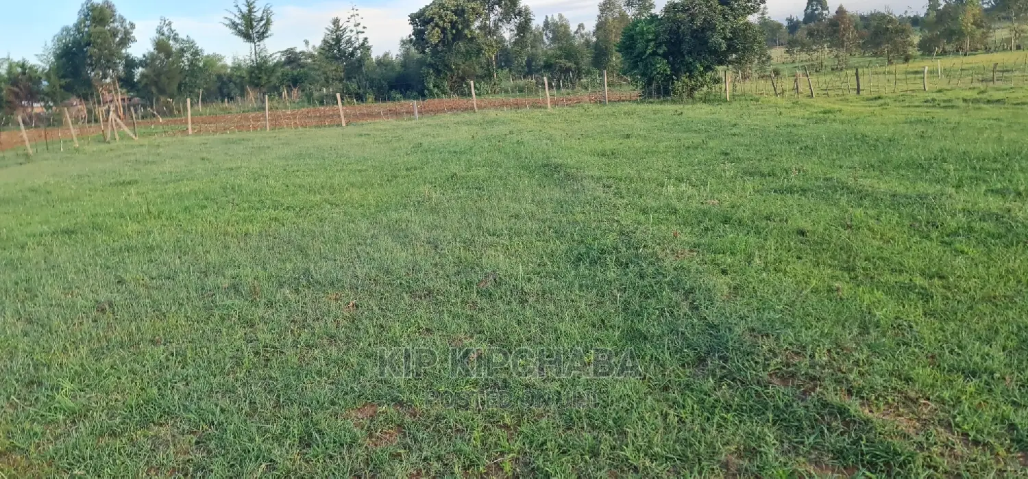 Excellent Opportunity: 8 Plots for Sale in Simat Kipkenyo, Eldoret in Kipkenyo