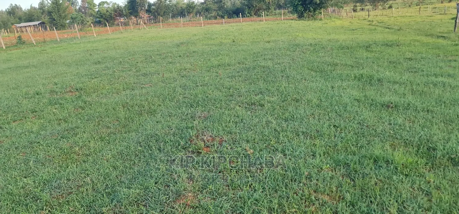 Excellent Opportunity: 8 Plots for Sale in Simat Kipkenyo, Eldoret in Kipkenyo