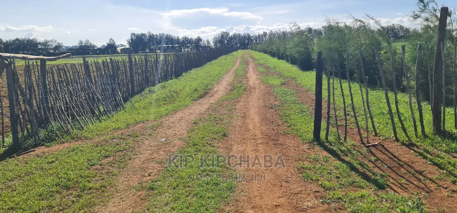 Invest in 1⁄4 Acre Plots in Marura, Eldoret - Close to Kimumu and Ready for Development in Kimumu