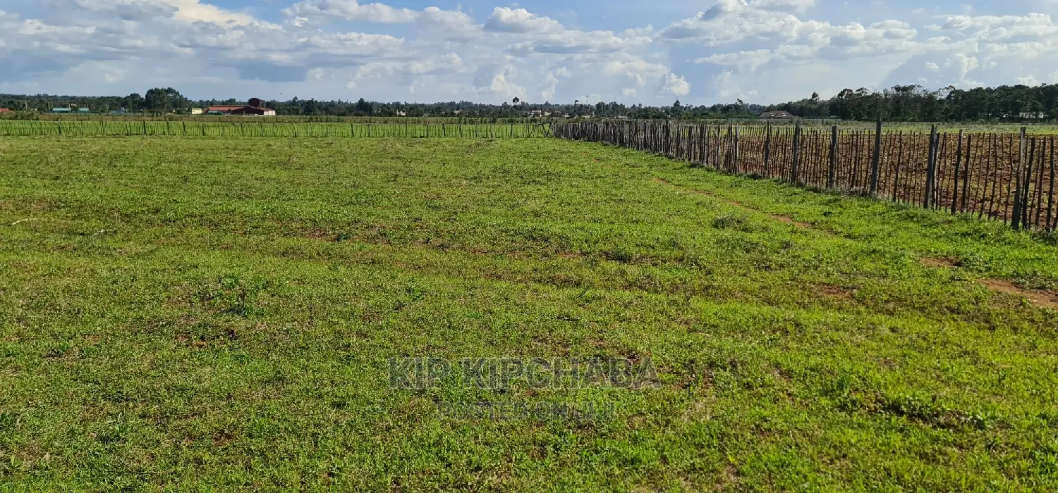Invest in 1⁄4 Acre Plots in Marura, Eldoret - Close to Kimumu and Ready for Development in Kimumu