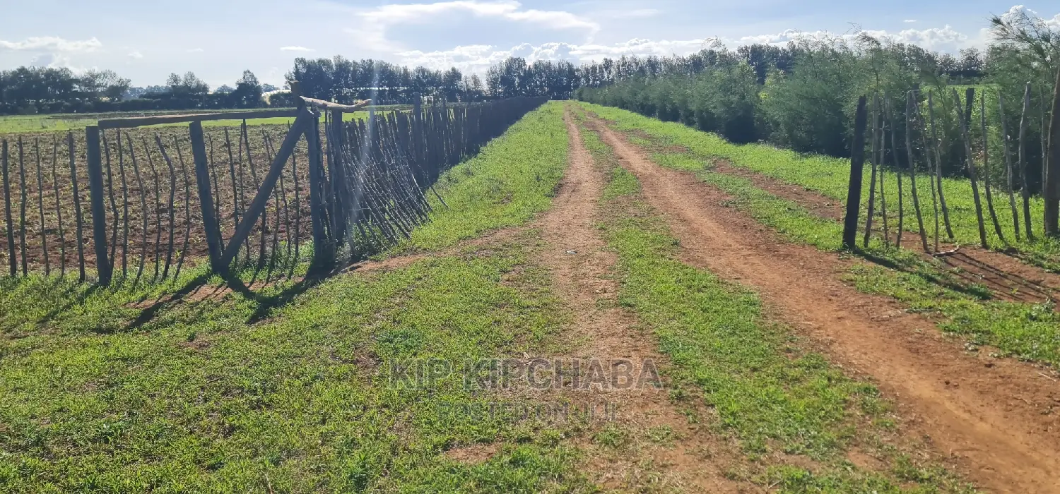 Invest in 1⁄4 Acre Plots in Marura, Eldoret - Close to Kimumu and Ready for Development in Kimumu