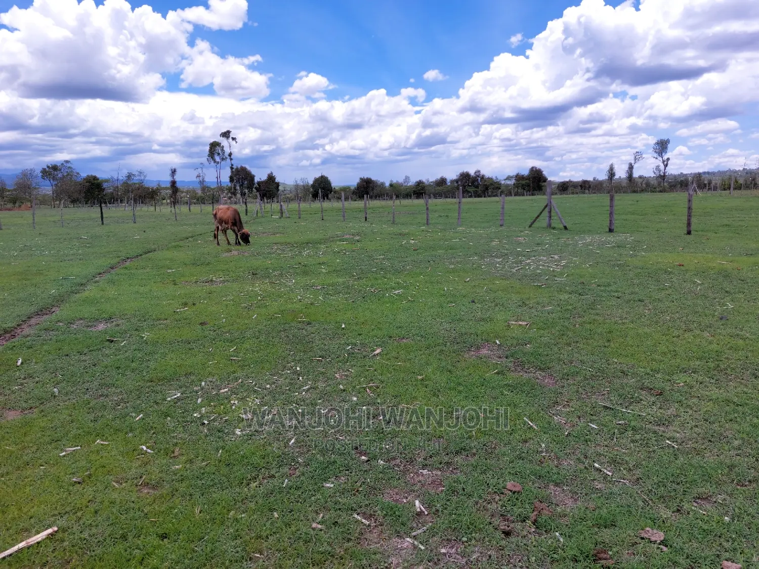 50x100 Plots in Nyandarua, Kasuku - Perfect for Residential Development in Weru