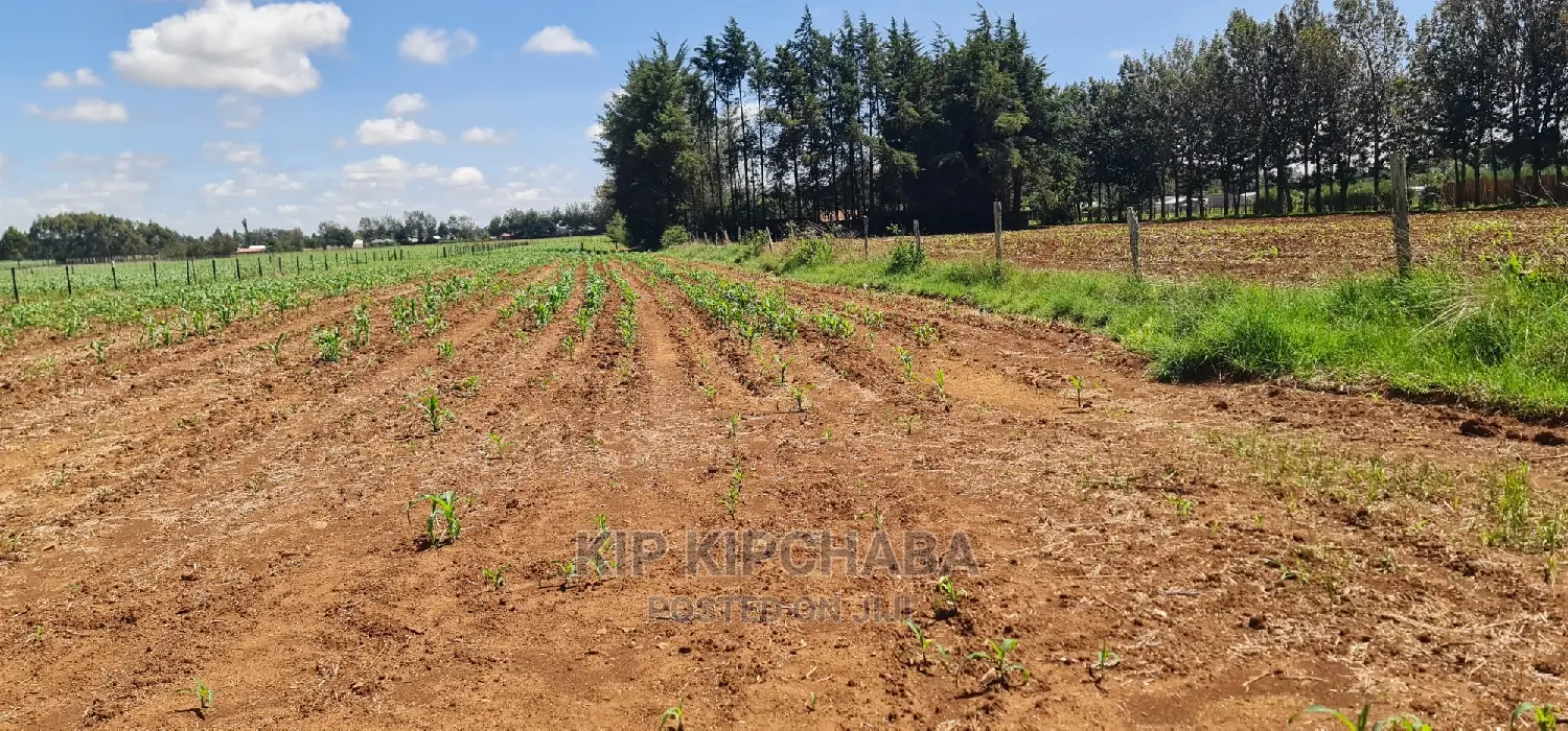 1-Acre Land Opportunity in Eldore, Marura After Kimumu in Kimumu