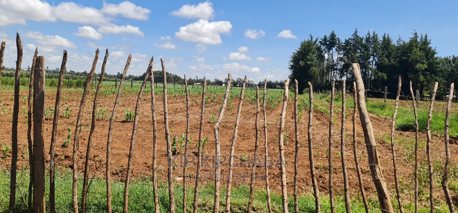 1-Acre Land Opportunity in Eldore, Marura After Kimumu in Kimumu