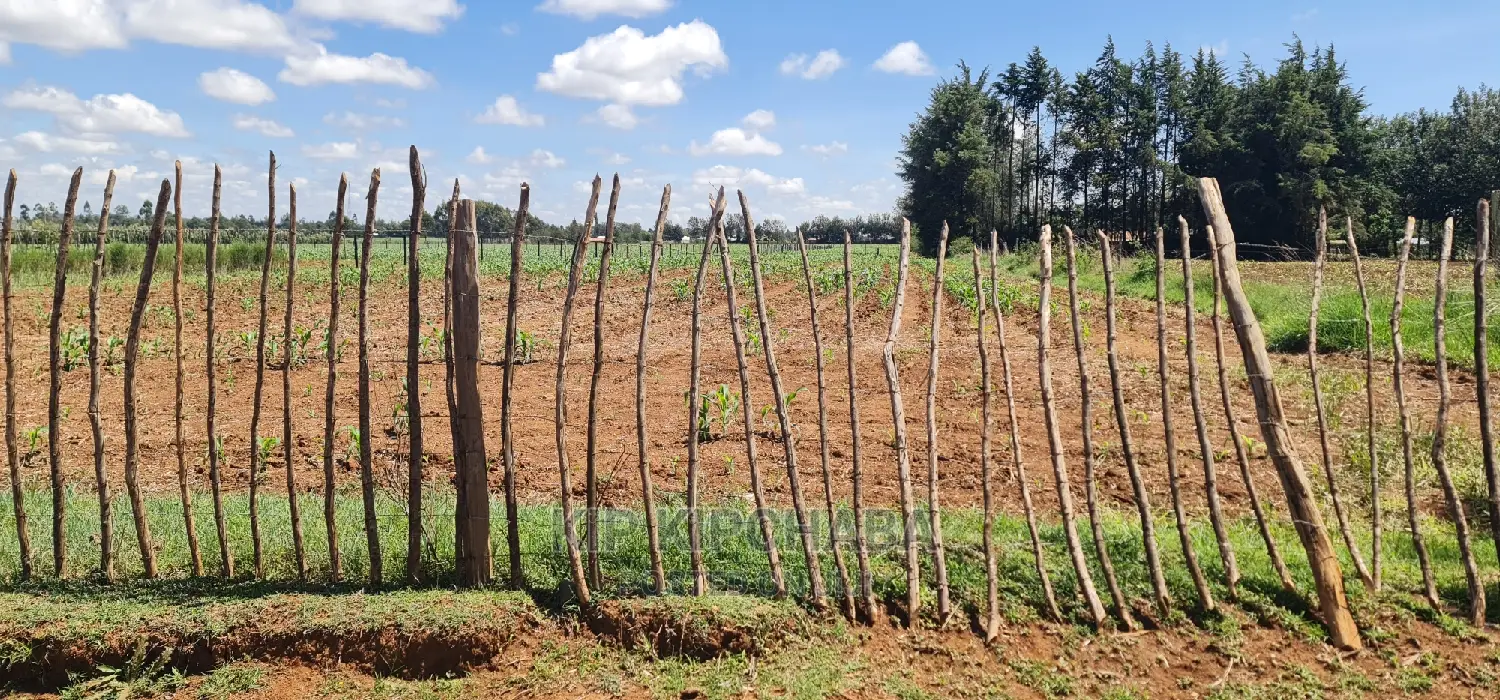 1-Acre Land Opportunity in Eldore, Marura After Kimumu in Kimumu