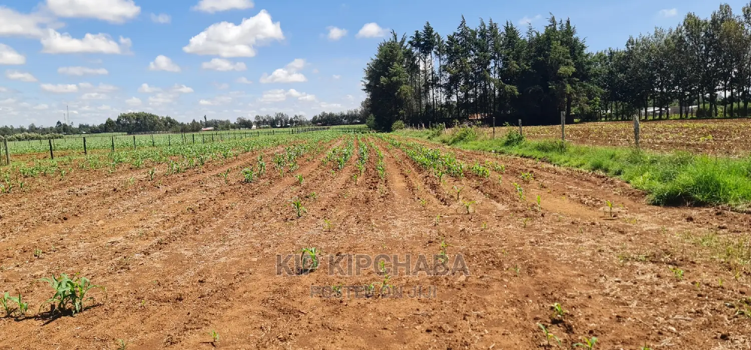 1-Acre Land Opportunity in Eldore, Marura After Kimumu in Kimumu