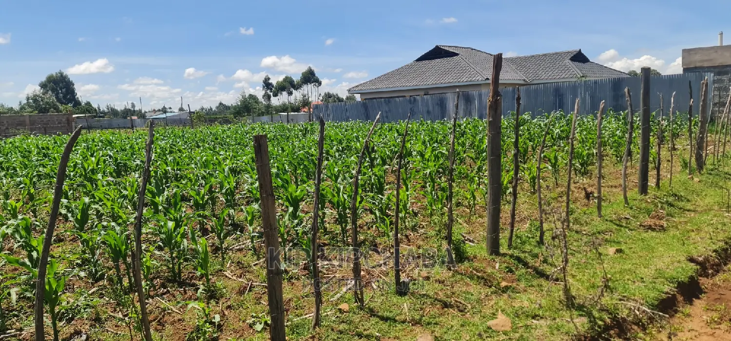 Prime 1/8 Plot for Sale in Sogomo Chepkoilel, Eldoret - Affordable Investment Opportunity in Kimumu