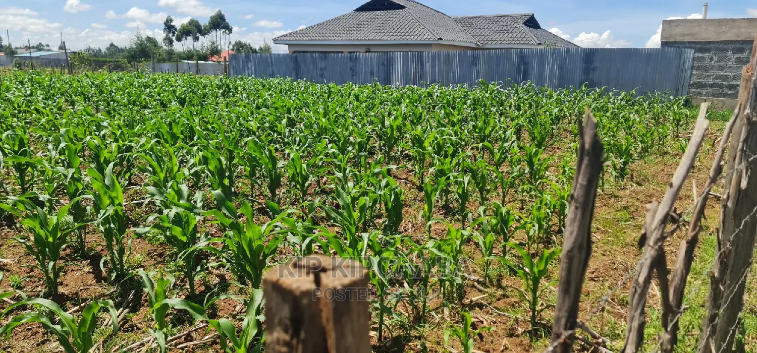 Prime 1/8 Plot for Sale in Sogomo Chepkoilel, Eldoret - Affordable Investment Opportunity in Kimumu