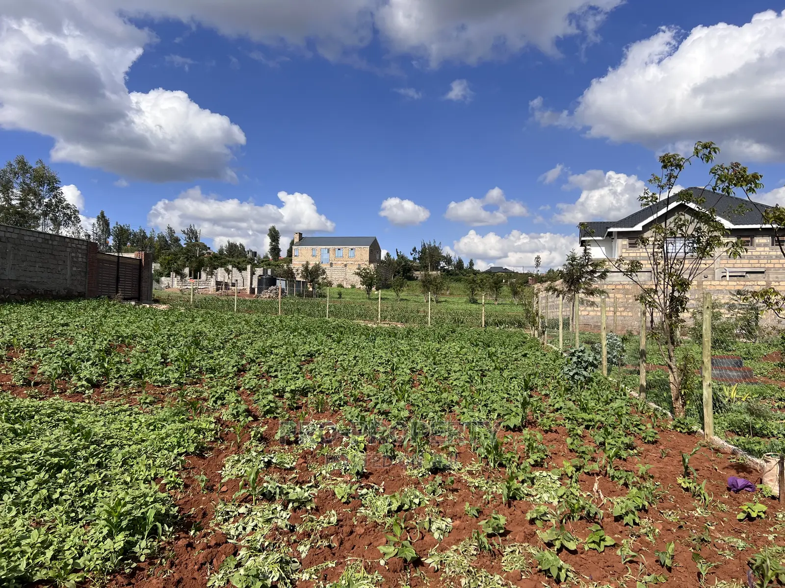 Spacious Residential Plot for Sale in Kikuyu, Gikambura in Kikuyu