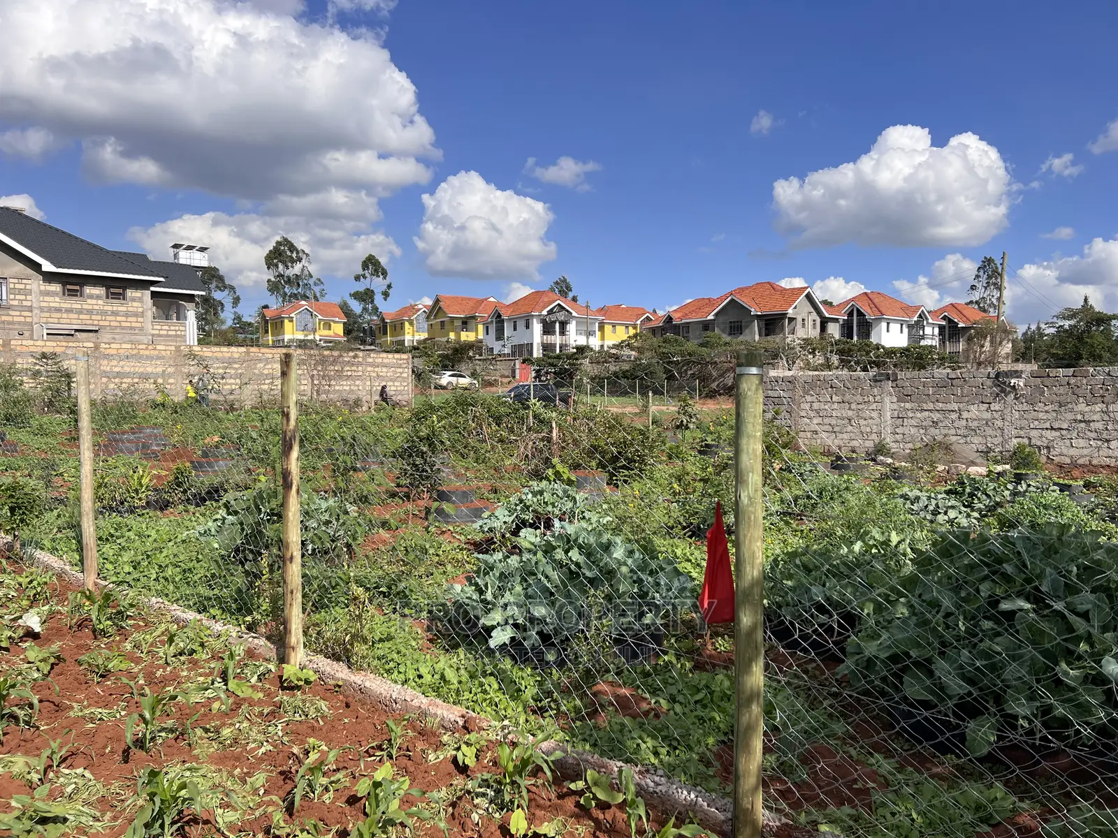 Spacious Residential Plot for Sale in Kikuyu, Gikambura in Kikuyu