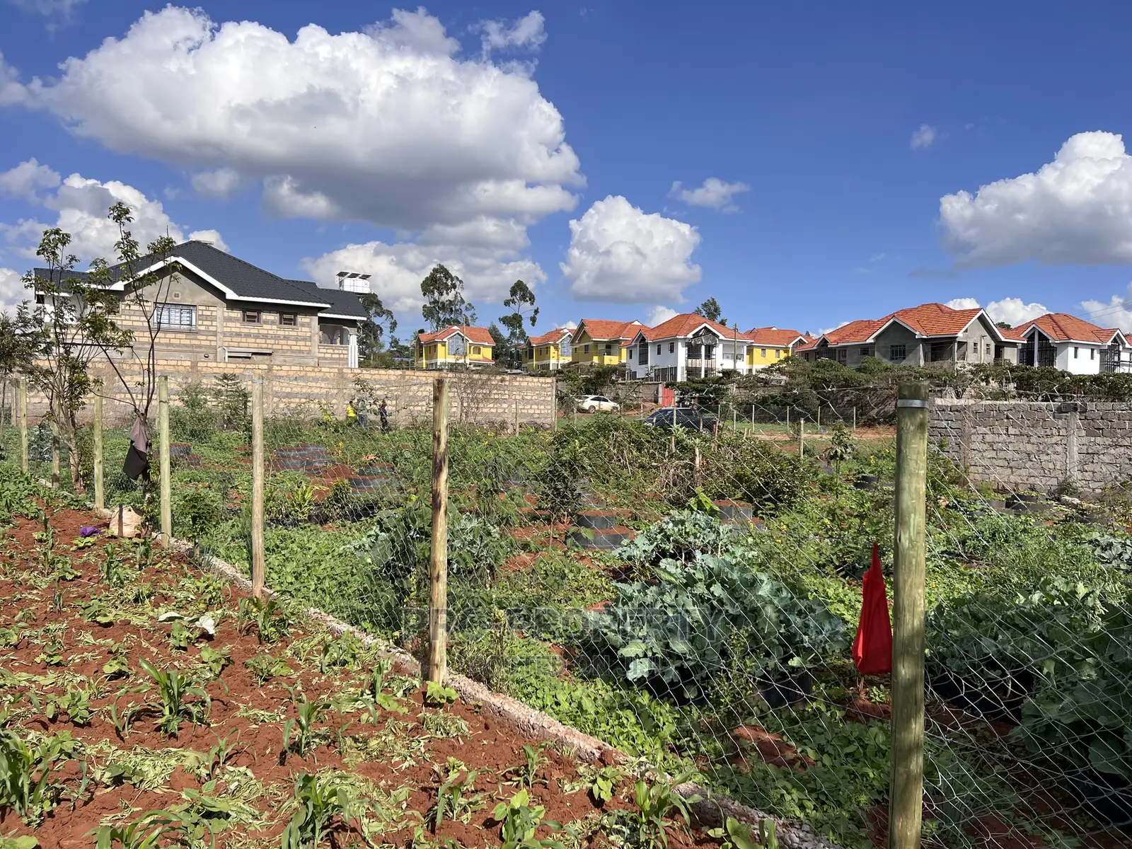 Spacious Residential Plot for Sale in Kikuyu, Gikambura in Kikuyu